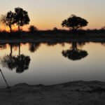 The Kavango Zambezi Transfrontier Conservation Area: or KAZA. Images of elephants, giraffes, camping, yellow billed storks, darters, chobe river, and friends. Mira Dutschke, Megan Izen, Carl Thome, and Jeffrey Barbee.