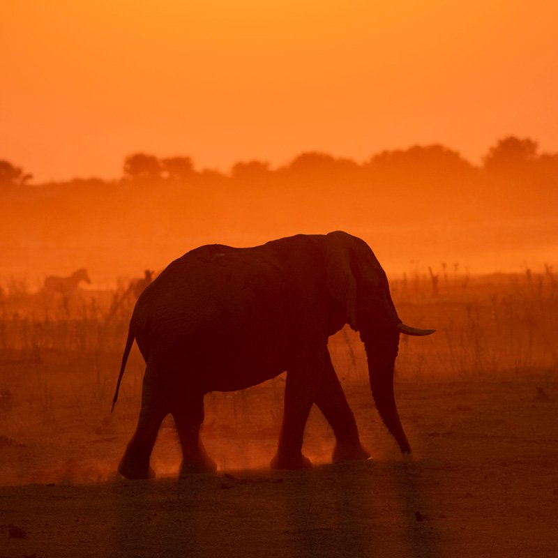 National Geographic