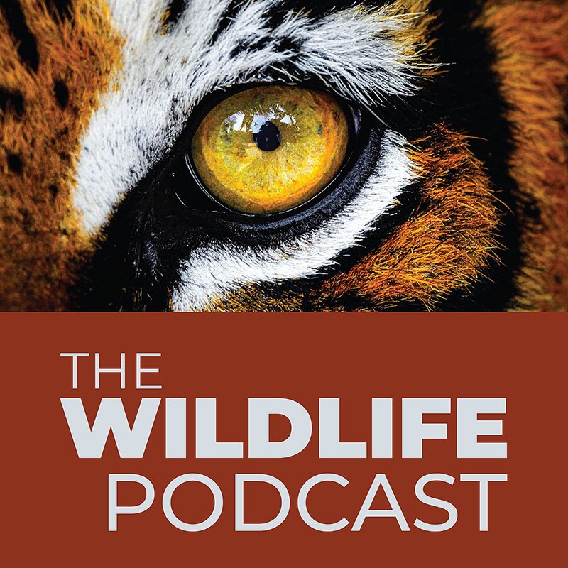 The Wildlife Podcast