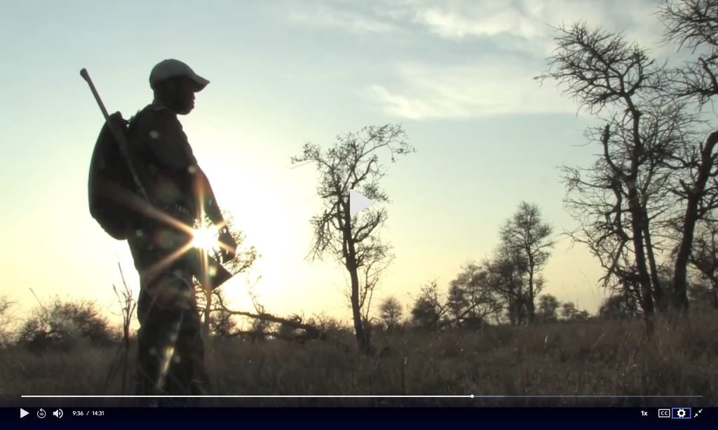 Saving Rhinos In South Africa- For PBS