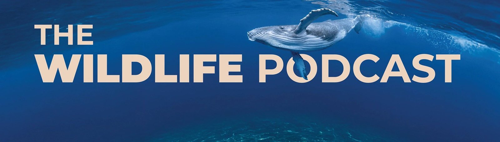 The Wildlife Podcast with Laurel Neme and Jeffrey Barbee