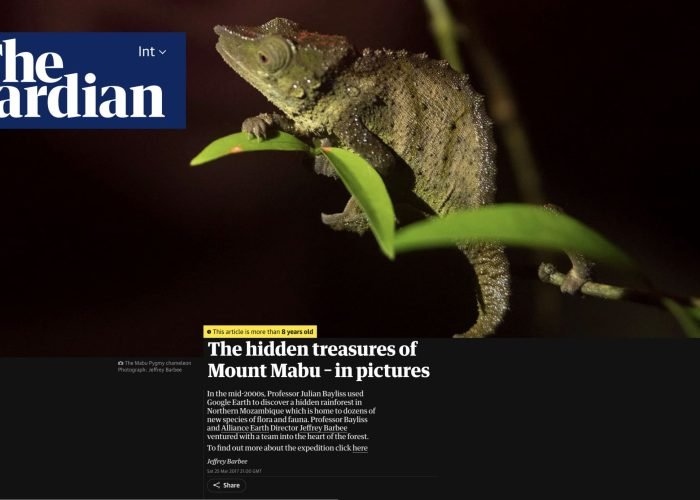 The Guardian Mabu